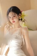 所涉财物一