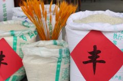 后办事过300多户村平易近